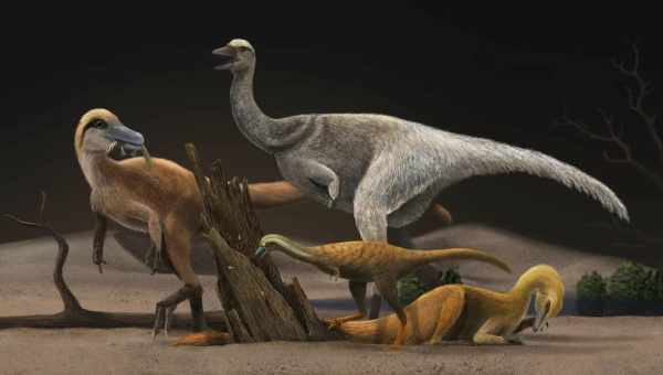 Брачные танцы динозавров