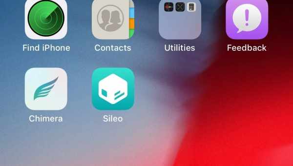 Теперь Cydia и Sileo можно использовать на одном устройстве