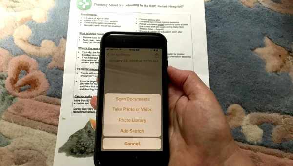 Как сканировать документы на iPhone через приложение «Заметки» на iOS 11, 12, 13