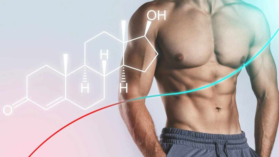 Как увеличить тестостерон в организме