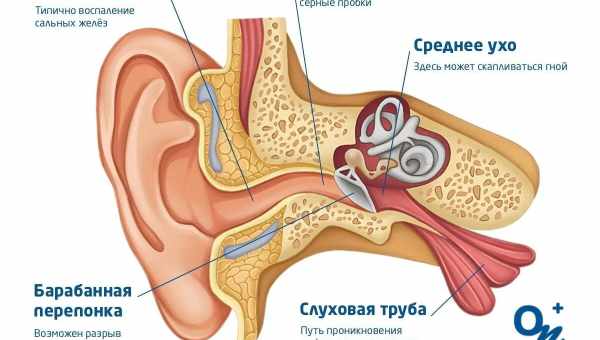 Что делать, если болит ухо