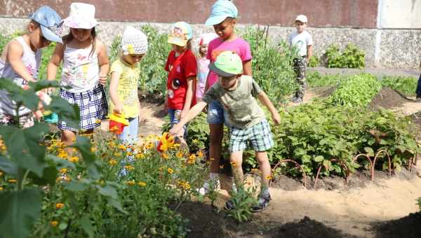 Во саду ли, в огороде: Техника на грядке