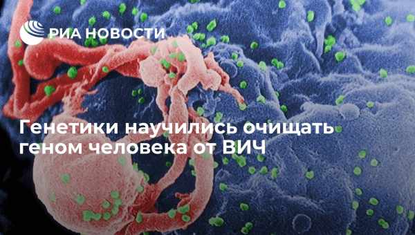 Ученые очистили геном человека от ВИЧ