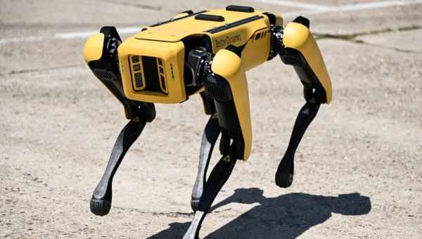 Mini Pupper: робот-щенок для тех, кто не может позволить себе продукцию Boston Dynamics