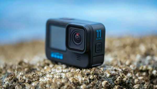 Создана GoPro для жука: видео