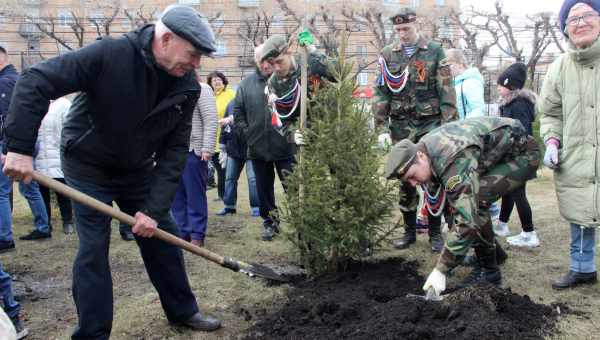 Высадка новых деревьев может не спасти климат, а только навредит ему