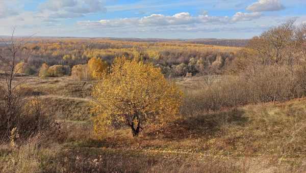 Зарайский р-н