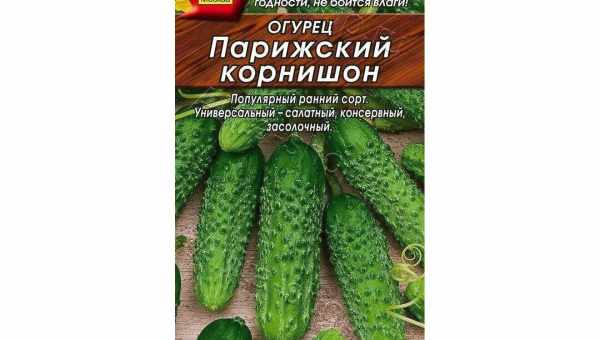 Огурцы «Парижский корнишон»: характеристика и описание сорта, отзывы + фото