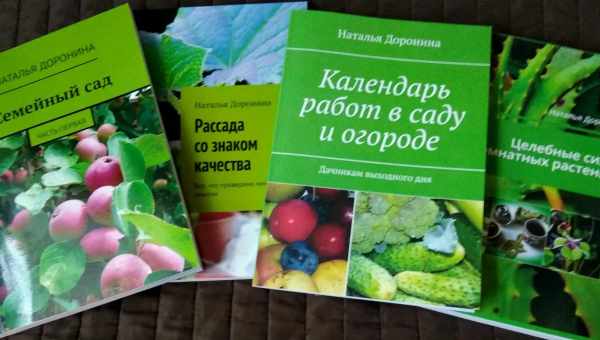 Календарь работ в саду и на огороде в ноябре: список дел дачника