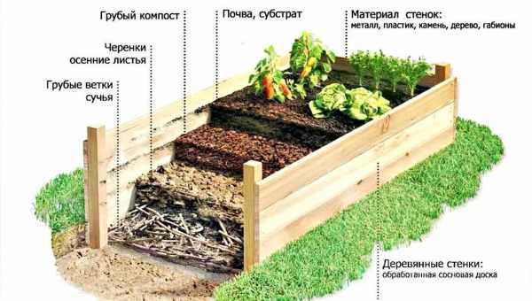 Созревание компоста: методы работы с сырьем и ускорители компостирования