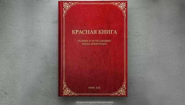 У пошуках кращого інструмента стиснення зображень PNG