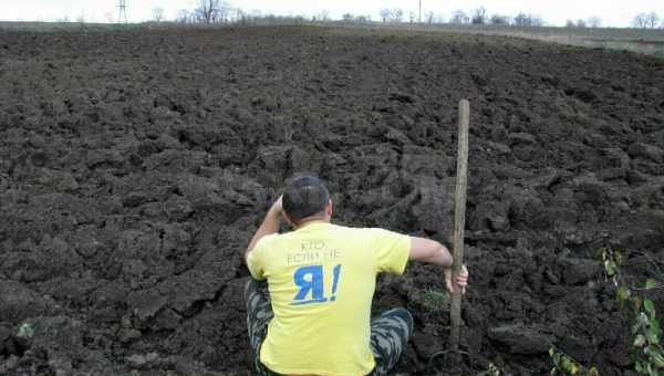 5 способів врятувати землю на городі від парші